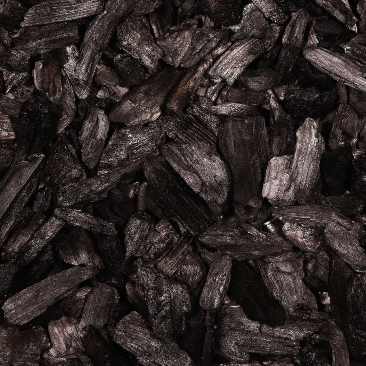 Biochar Large Chunk