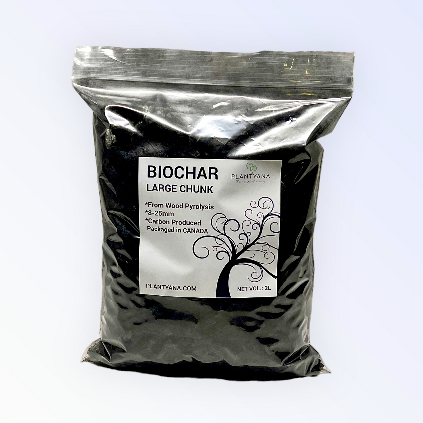 Biochar Large Chunk