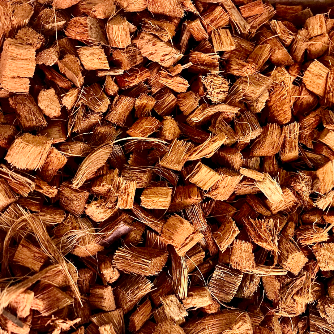 Coconut Hask Chips