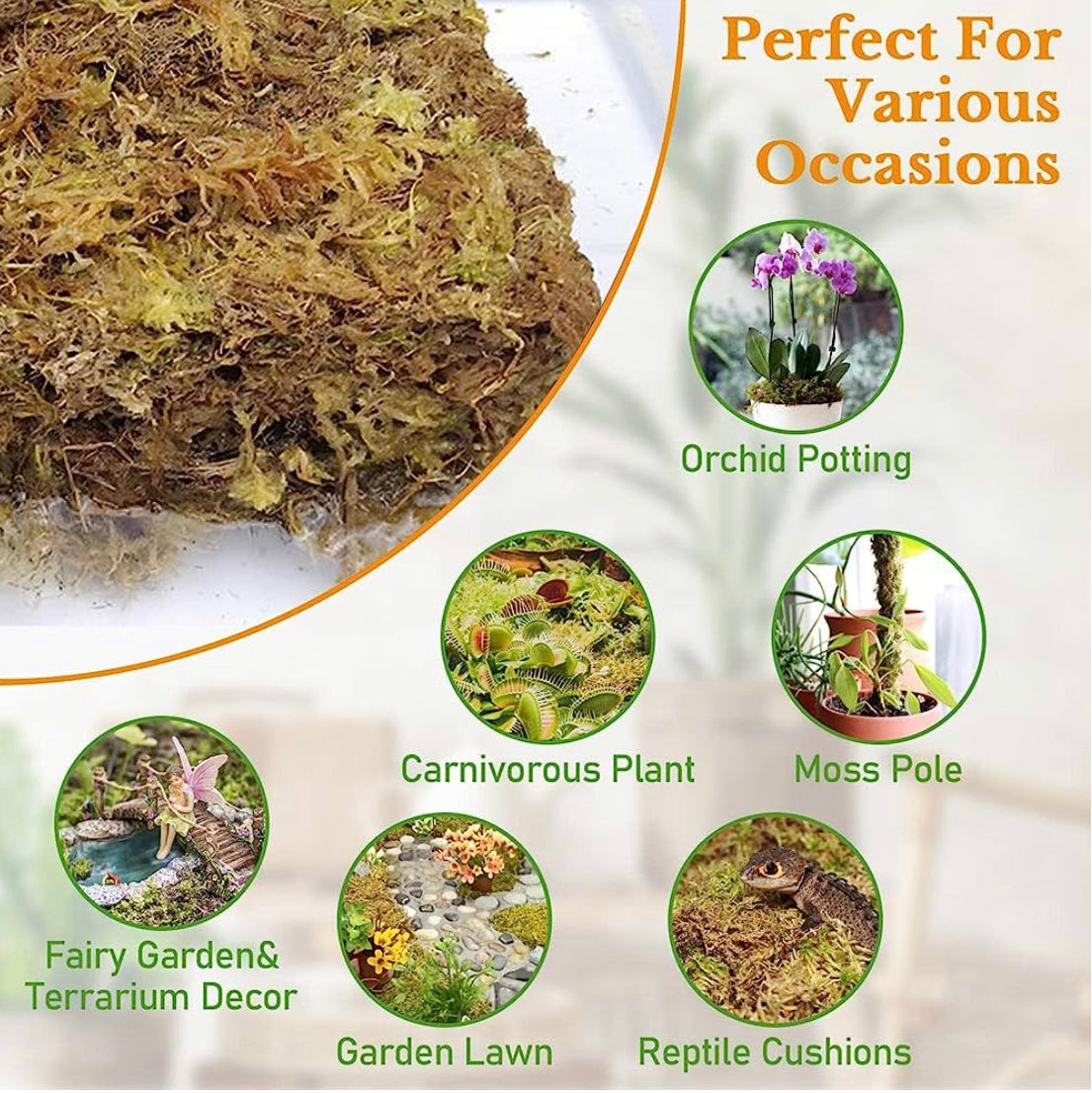 Compressed Sphagnum Moss ( 150+\-10g ~ 8L)