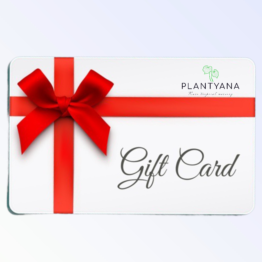 PLANTYANA E-Gift Card
